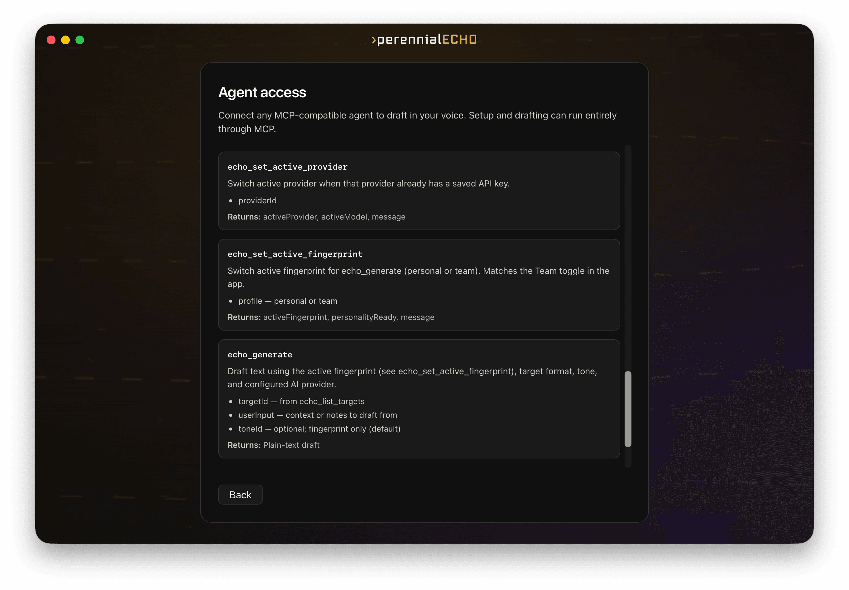 Perennial Echo built-in MCP server settings